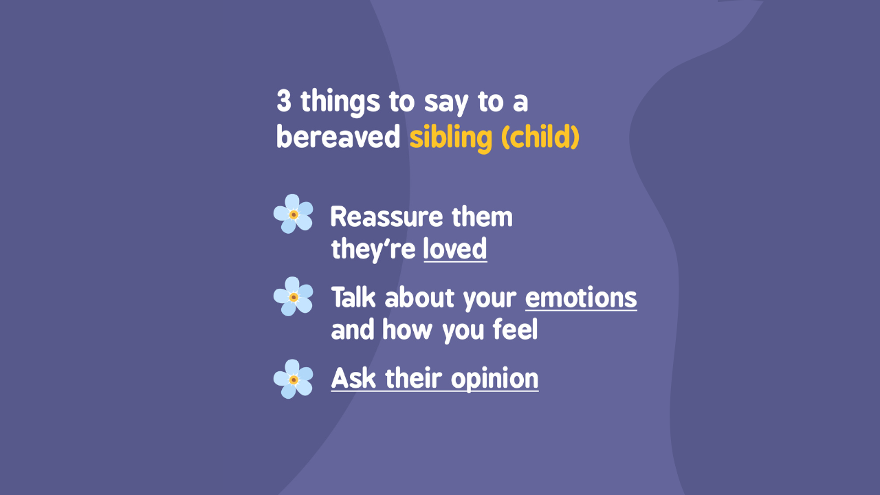 4 Phrasebook - talking to a bereaved child sibling phrasebook